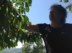 Jay enjoying fresh cherries from relative's "farm"