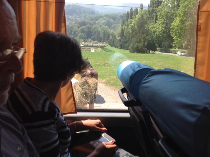 Was that a horse and cart that just cut us off?