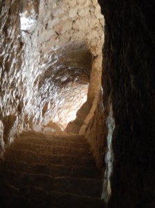 No - really? I climbed up those stairs. Now you want me to get down again?