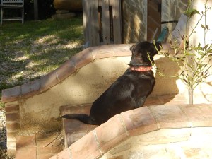 Maya can hear Ruby running down the stairs