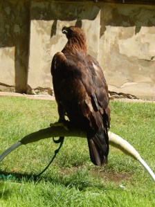 Do I have to listen to this?