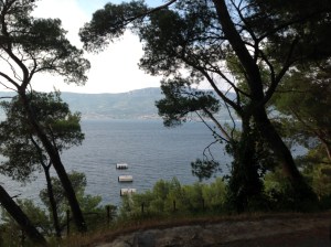 A quick snap of the passing scenery in the park