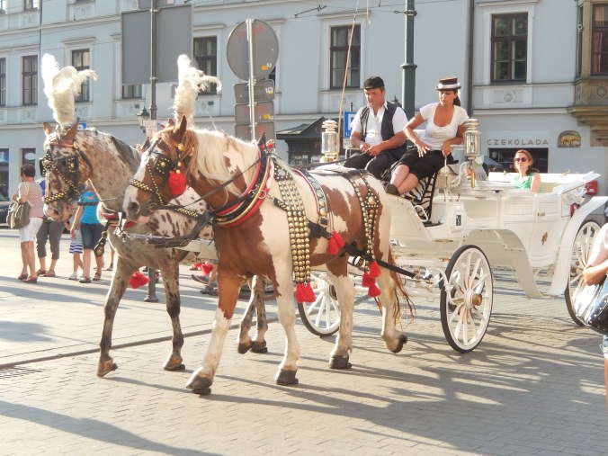 Horse and carriage, dressed up Krakow style