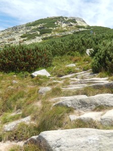 The walk went up there somewhere