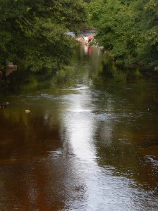 Seen walking around the Burton-in-Lonsdale village