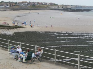 Close up, they look rather cold