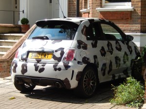 Richmond 2011-02-05 017