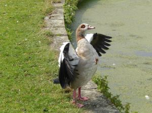 What about me? I'm beautiful too!