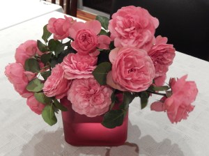 Leonardo Da Vinci rose from Ida's garden