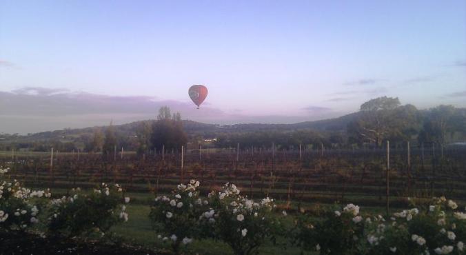 Balloon Aloft Bluebush Estate Lovedale