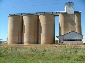 Bogan Gate 24Nov2010 (12)