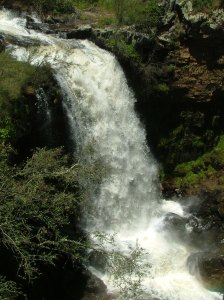 Paddys Fall 22Nov2010 (6)