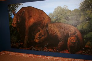 Giant Prehistoric Wombat at Coonabarabran Tourist Info Office (4)