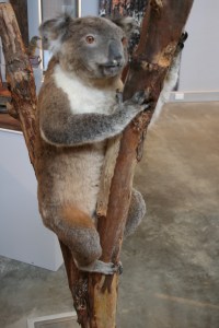 This is NOT a photo of May