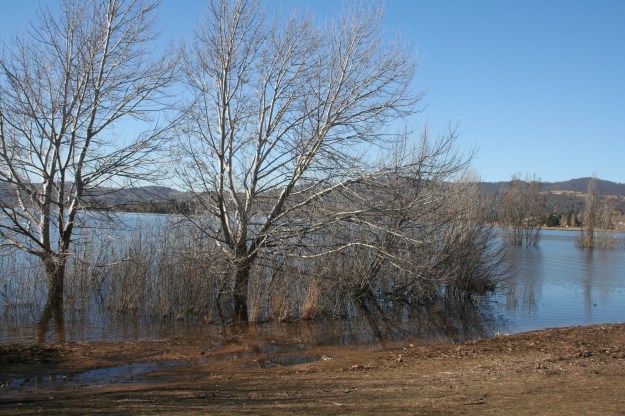 A glimpse of Lake Jindabyne in late autumn