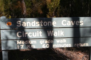 Sandstone Cave Walk Dandry Gorge Pilliga Forest (3)