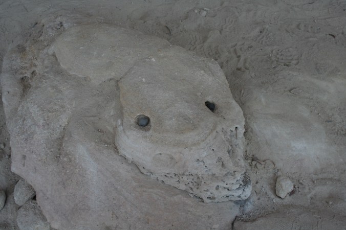 This one looks like a serpent - don't you think?