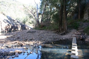 Wambelong Nature Trail, Warrumbungle Ranges (14)