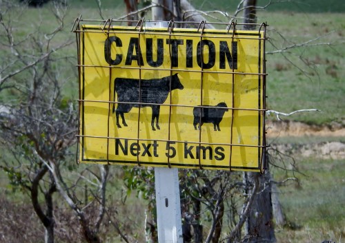 Dorrigo to Armidale 14th March 2014-03-14 081