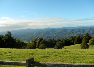 Mountain Top Dorrigo early morning