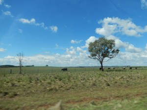 On the road from Armidale to Walcha 