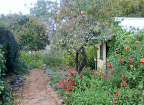 Mary's Garden in Saumarez House Armidale