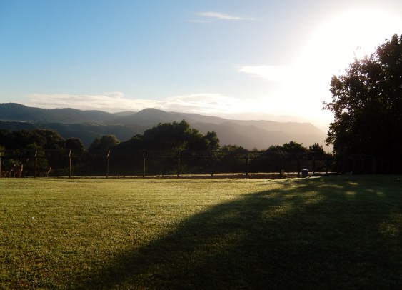 Time to Get Up, Lookout Motel, The Mountain, Dorrigo