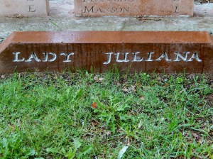 First Fleet Park Wallabadah 2014-03-21 013