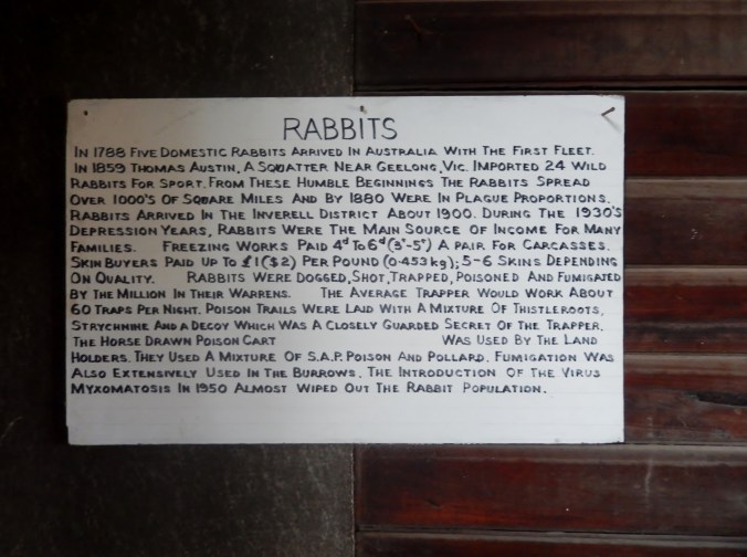 Pioneer Village Inverell 