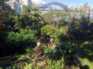 In Wendy's secret garden lavender bay