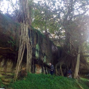 Natural rock pool in sandstone rock face watt park lavender bay