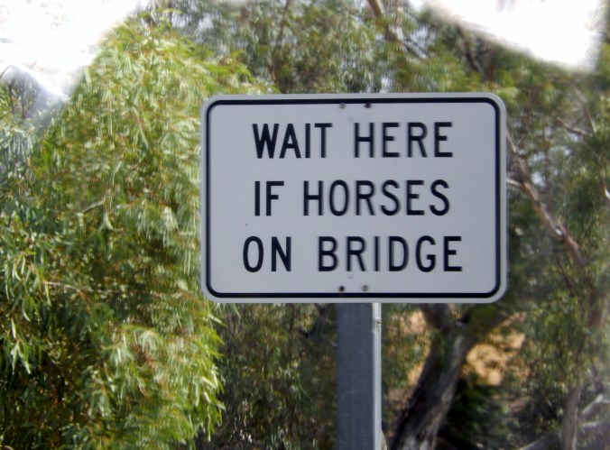 But even Wayne can't fathom this one! What horses????