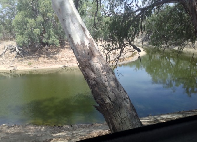 Menindee Lakes and Kinchega Park 9th March 2016_bend in the Darling River (1)