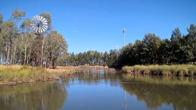 Egret Park Dubbo 27 April 2016 (5)