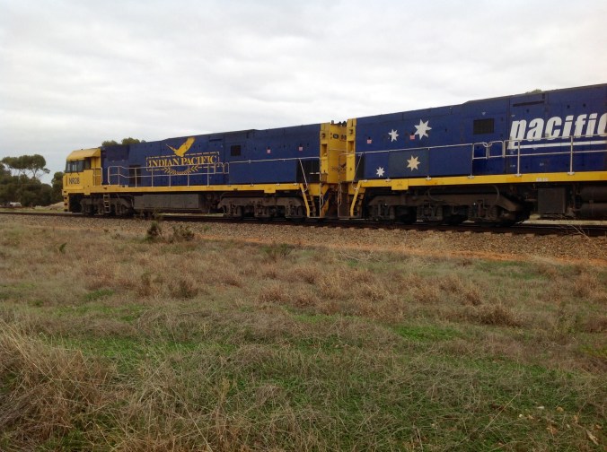 Diesel Locomotives pulling the Indian Pacific Sydney-Perth May 2016