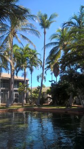 Poolside Mangrove Resort Hotel Broome WA May 2016