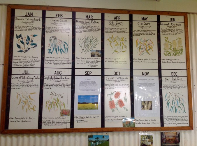 Cliffords Honey Farm, Kangaroo Point, June 2016