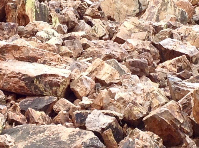 Simpsons Gap near Alice Springs NT June 2016