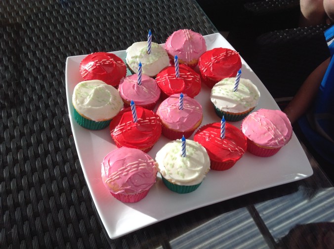 Cricket Ball Birthday Cup Cakes