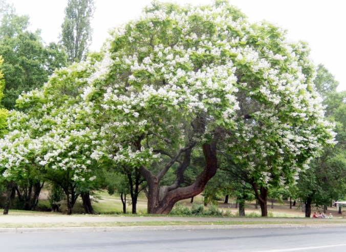 bright-2016-12-16-007-800x583