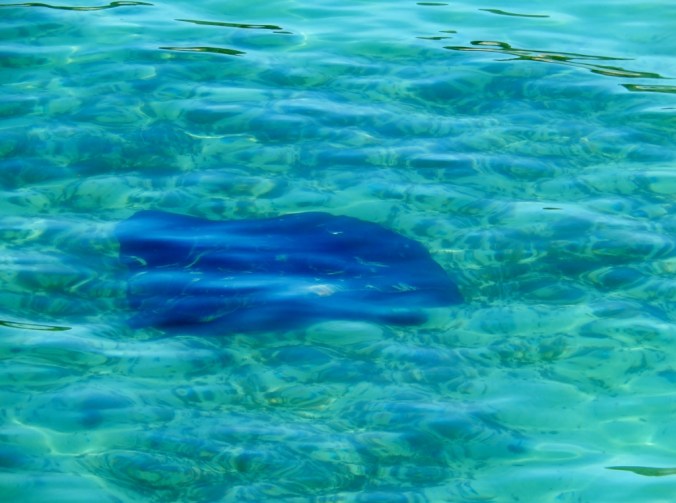 flinders-pier-near-rosebud-vic-2016-12-12-13-1024x762