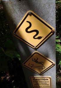 on-the-track-to-wallaces-cattlemans-hut-near-falls-creek-vic-2006-12-15-706x1024-552x800