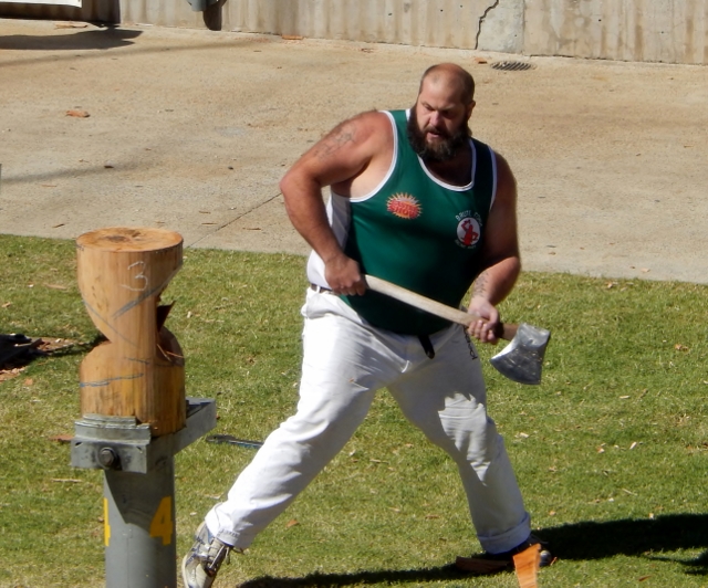 RAS Woodchop (6) (640x532)