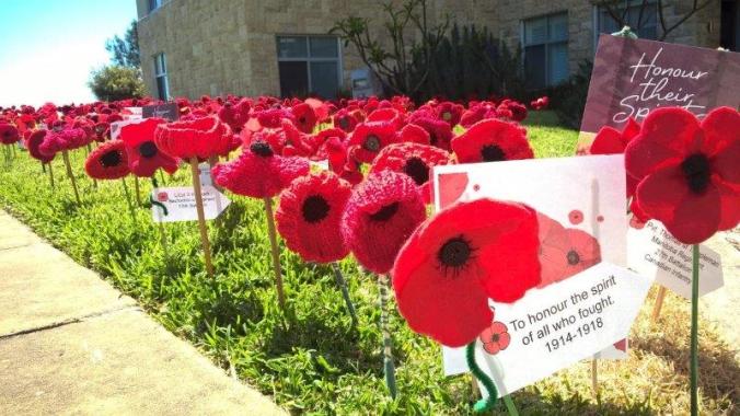 Remembrance Day Poppies 2018 (11)
