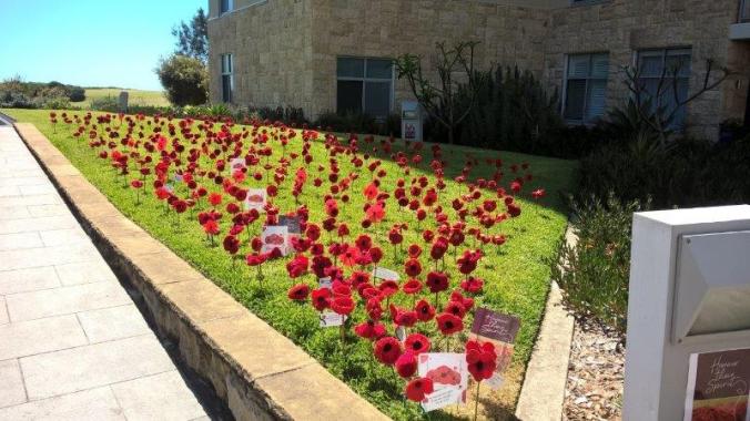 Remembrance Day Poppies 2018 (14)