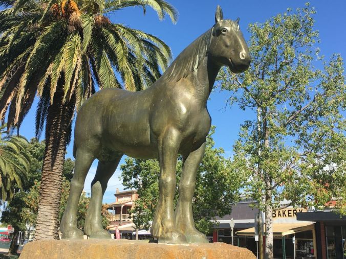 Draught Horse Nhill (2)rs