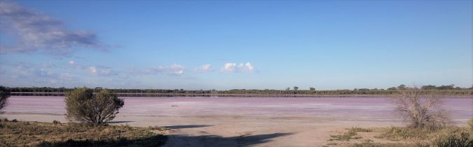 pink lake Dimboola rs