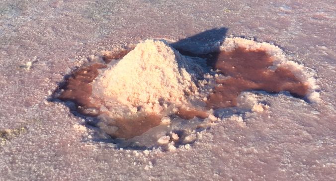 Salt Lake water table