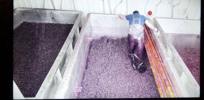 The D'Arenberg Cube 15 Mar 20 (5)rs