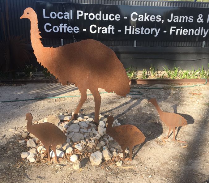 Tintinara Emu Family rs